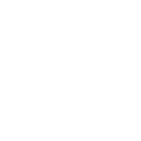 homogeneos homogeneos